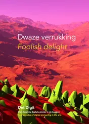 Omslag van Dwaze verrukking - Foolish delight