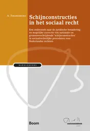 Omslag van Schijnconstructies in het sociaal recht