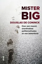 Omslag van Mister Big