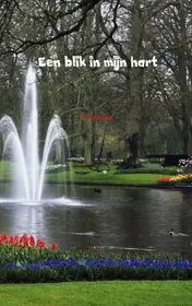 Omslag van Een blik in mijn hart