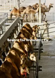 Omslag van Beware the Dromedary Flu