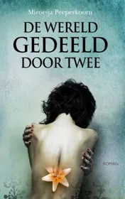 Omslag van De wereld gedeeld door twee