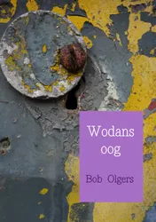 Omslag van Wodans oog