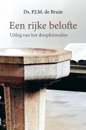 Omslag van Een rijke belofte