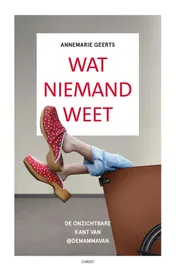 Omslag van Wat niemand weet