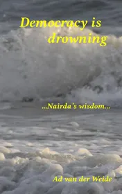 Omslag van Democracy is drowning