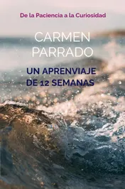 Omslag van Un aprenviaje de 12 semanas