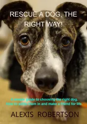 Omslag van Rescue a dog, the right way!