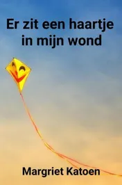 Omslag van Er zit een haartje in mijn wond