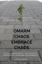 Omslag van Omarm Chaos - Embrace Chaos