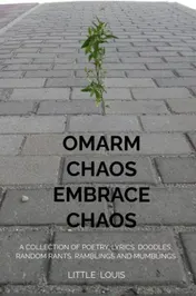 Omslag van Embrace Chaos - Omarm Chaos