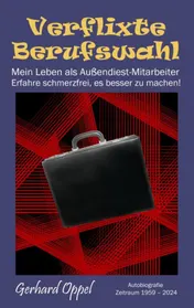Omslag van Verflixte Berufswahl
