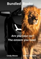 Omslag van Bundled Books: Are You Your Car? | The Esteem You Need