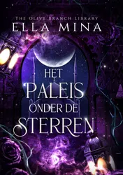 Omslag van Het Paleis onder de Sterren