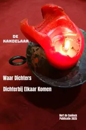 Omslag van De kandelaar