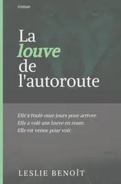 Omslag van LA LOUVE DE L'AUTOROUTE