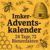 Omslag van Imker Adventskalender | 24 Tage, 72 Bienenfakten