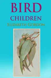 Omslag van Bird Children
