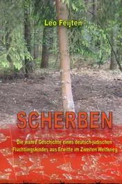 Omslag van SCHERBEN