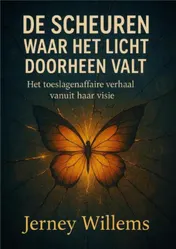 Omslag van De scheuren waar het licht doorheen valt