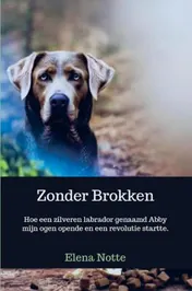 Omslag van Zonder Brokken