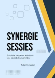 Omslag van Synergie Sessies
