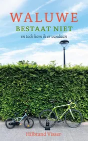 Omslag van Waluwe bestaat niet