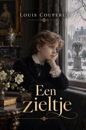 Omslag van Een zieltje