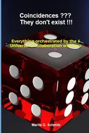 Omslag van Coincidences ??? They don't exist !!!