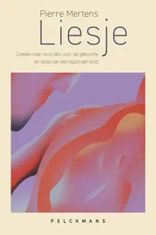 Omslag van Liesje