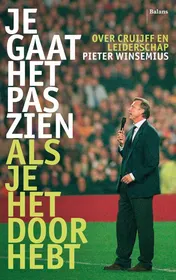 Omslag van Je gaat het pas zien als je het doorhebt
