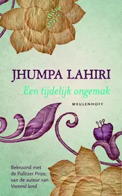 Omslag van Tijdelijk ongemak