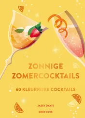 Omslag van Zonnige zomercocktails