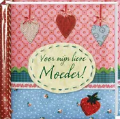 Omslag van Voor mijn lieve moeder!
