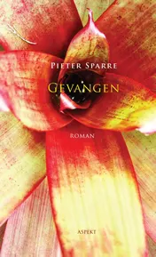 Omslag van Gevangen