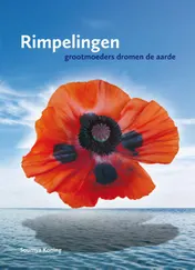 Omslag van Rimpelingen