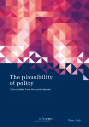 Omslag van The plausibility of policy