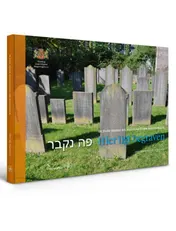 Omslag van Hier ligt begraven