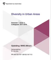 Omslag van Diversity in Urban Areas