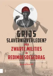 Omslag van Grijs slavernijverleden?