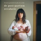 Omslag van De post-partumrevolutie