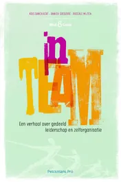 Omslag van Inteam