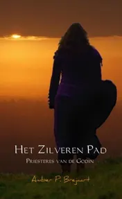 Omslag van Het zilveren pad