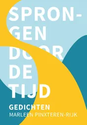 Omslag van Sprongen door de tijd