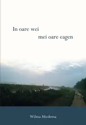 Omslag van In oare wei