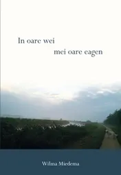 Omslag van In oare wei