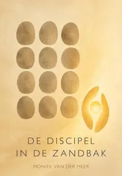 Omslag van De discipel in de zandbak
