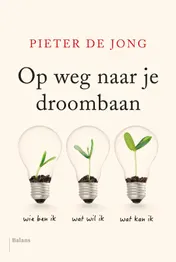 Omslag van Op weg naar je droombaan