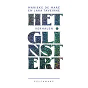 Omslag van Het glinstert