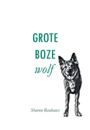 Omslag van Grote boze wolf